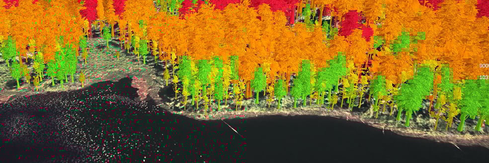 visual-analytics-funding-timberops