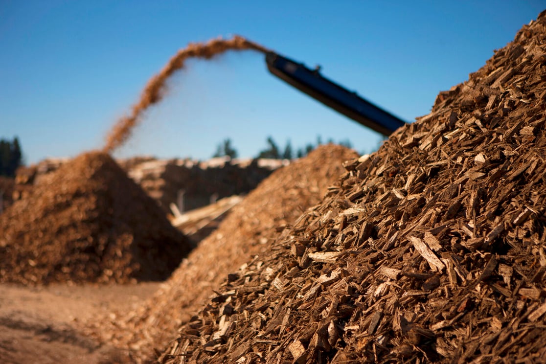 Woody_-biomass-1536x1024